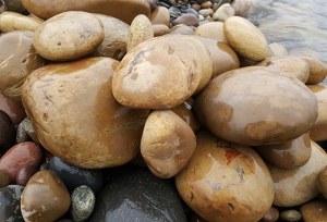 黃色鵝卵石價(jià)格